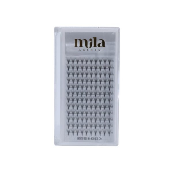 Extension de cils 12D Noir - Courbe D Diamètre 0.05 mm